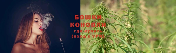 шишки Балабаново