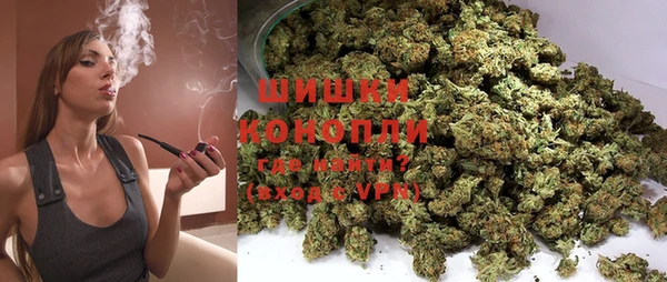 шишки Балабаново