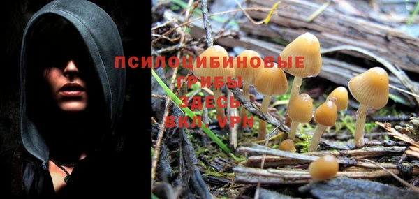 шишки Балабаново