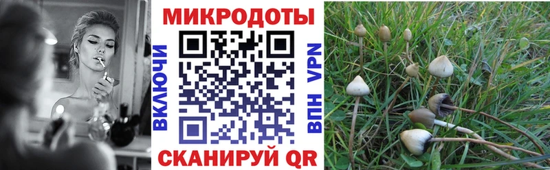 Псилоцибиновые грибы MAGIC MUSHROOMS  закладка  Волчанск 